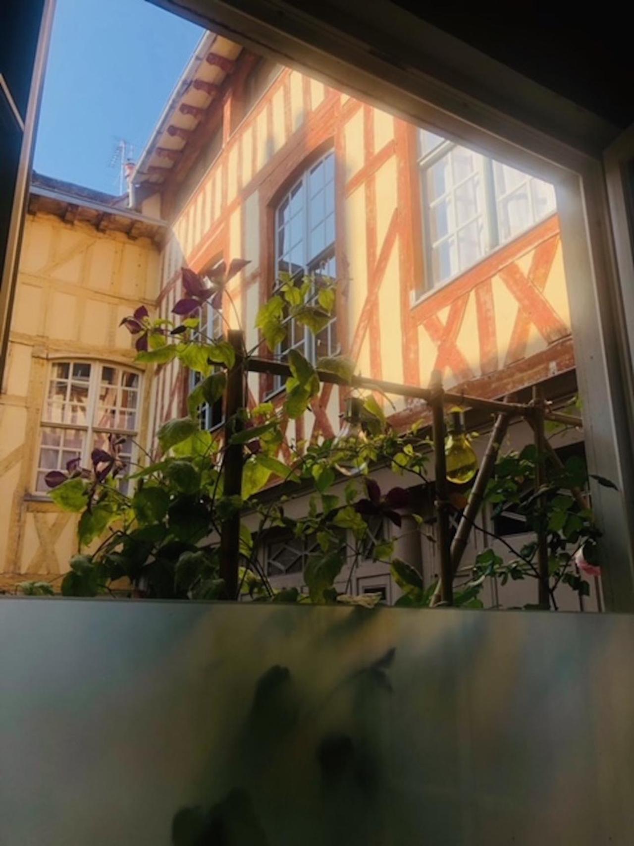 Ferienwohnung Atelier Des Glycines, Troyes Bouchon De Champagne, Sublime Site Patrimonial Exterior foto